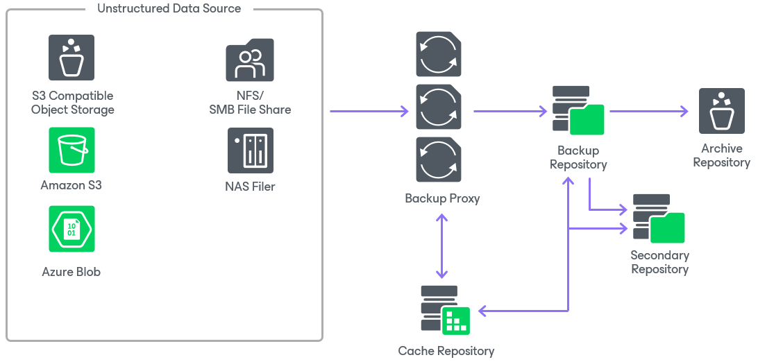 veeam data domain