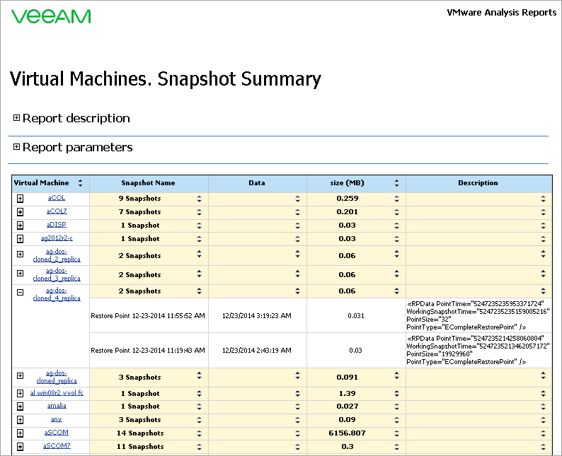 Virtual Machines. Snapshot Summary Report Output
