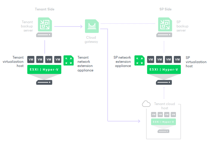 Network Extension Appliance