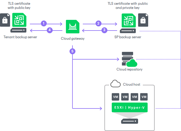 TLS Certificates Handshake