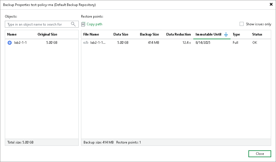 Viewing Backup Properties