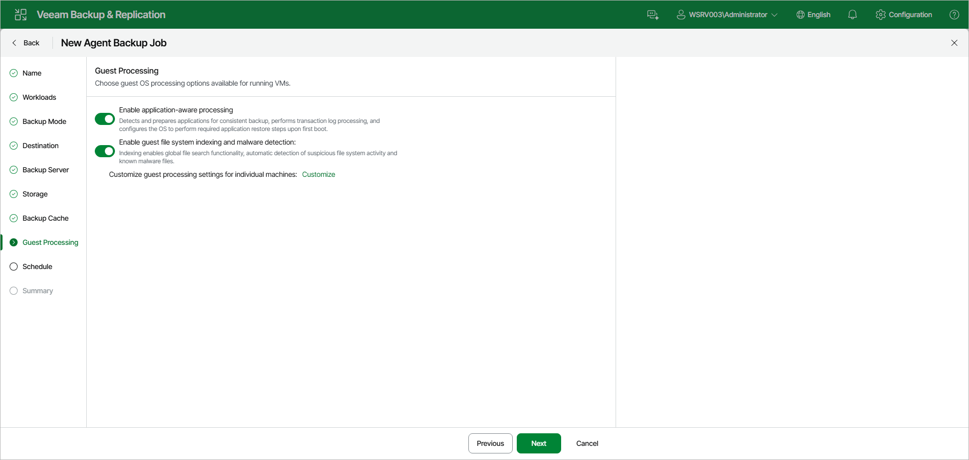 Specify Guest Processing Settings
