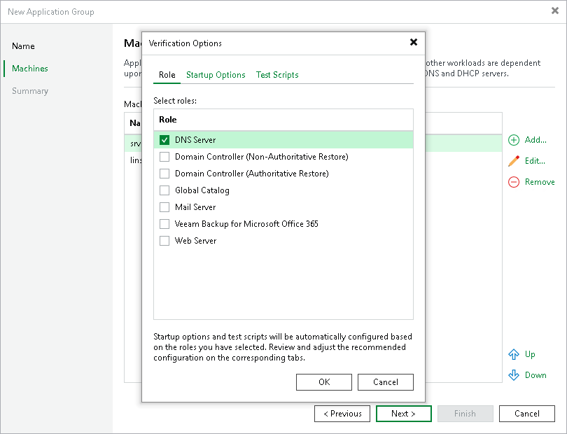 Step 4. Specify Recovery Verification Options and Tests