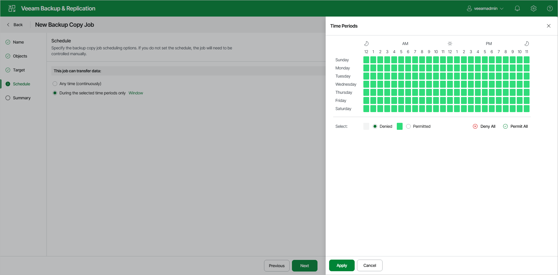 Step 5. Define Backup Copy Window