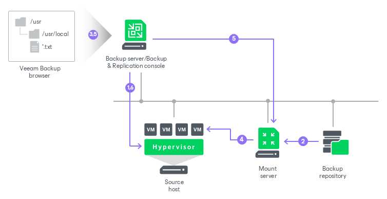 Guest OS File Restore