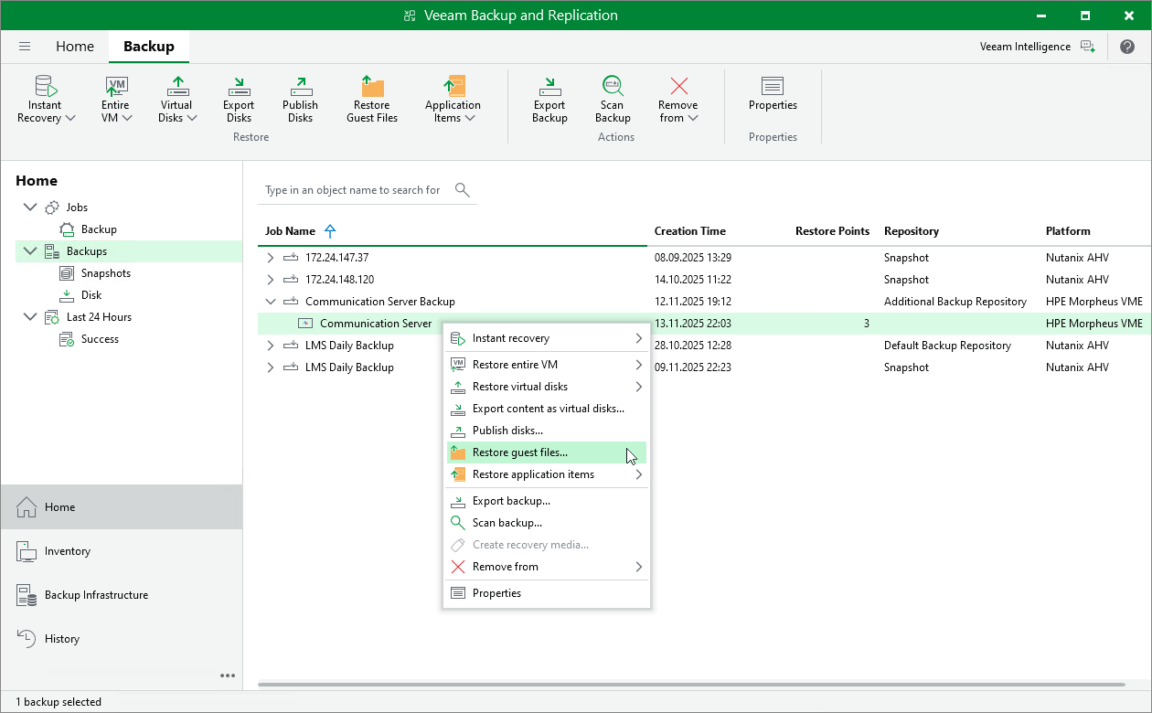 VM Guest OS Files Restore