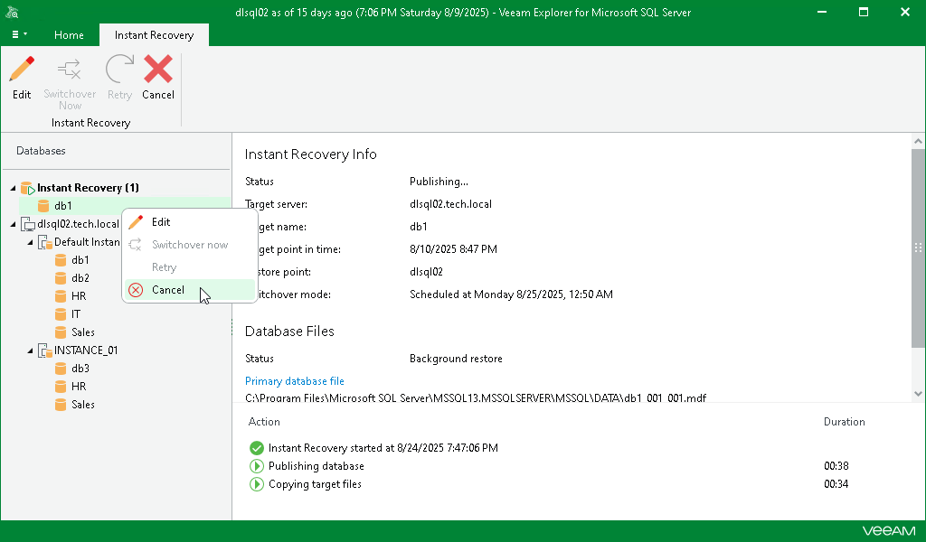 Cancelling Instant Recovery
