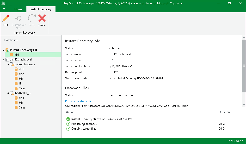 Finalizing Instant Recovery Session