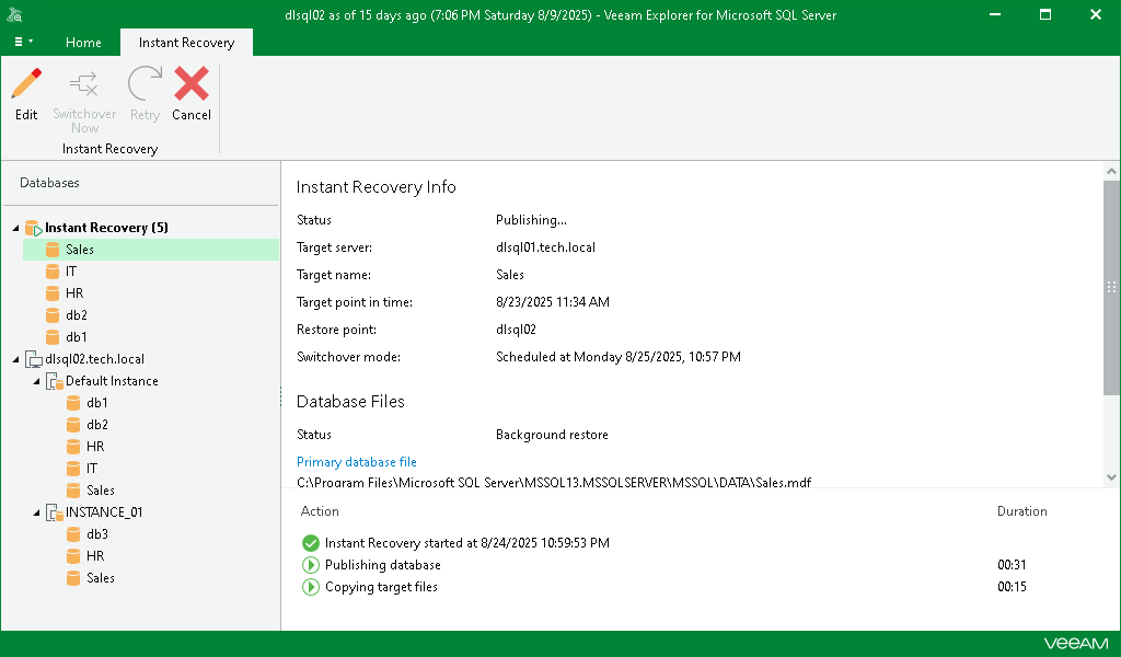 Finalizing Instant Recovery Session