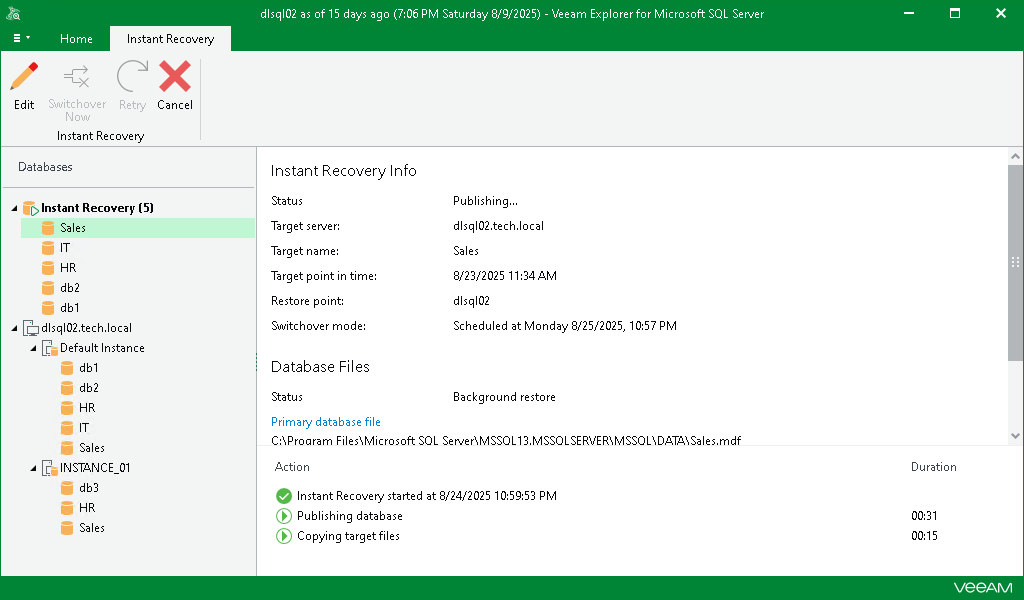 Finalizing Instant Recovery Session