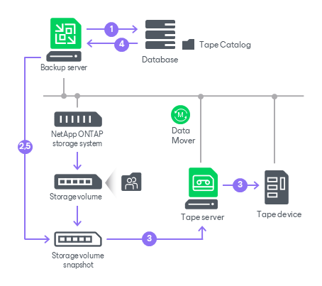 NetApp NDMP Server Backup to Tape