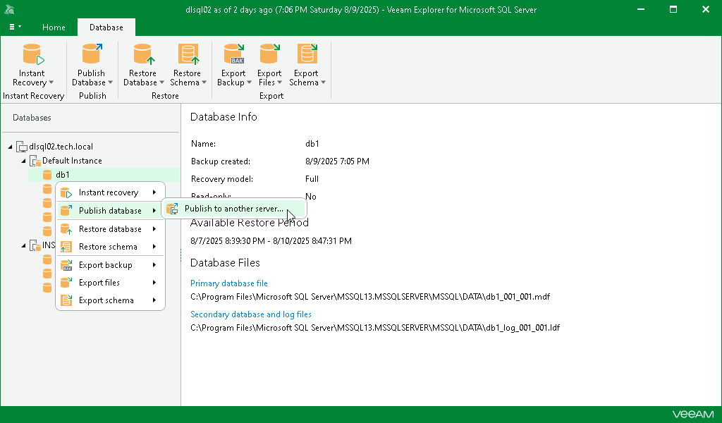 Launching Publish Database Wizard