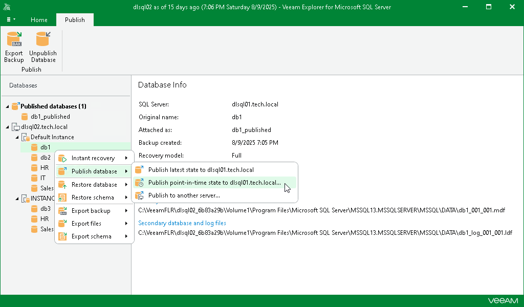 Launching Publish Database Wizard