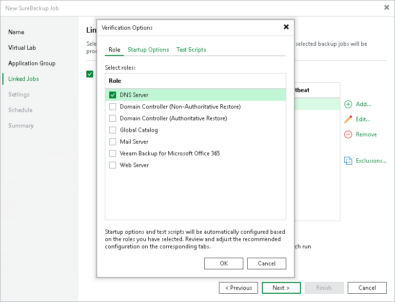Step 6. Specify Recovery Verification Options and Tests