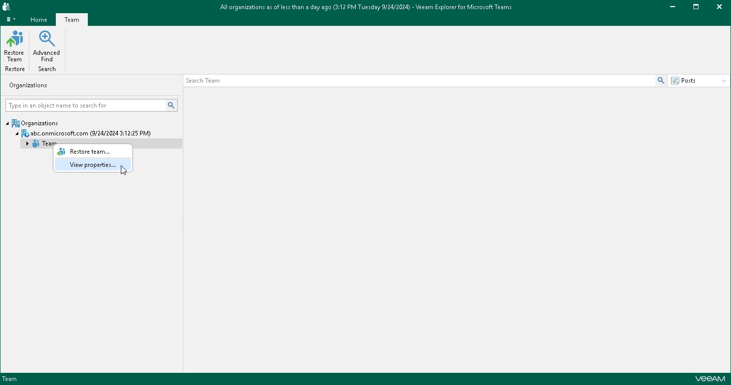 Viewing Team Properties