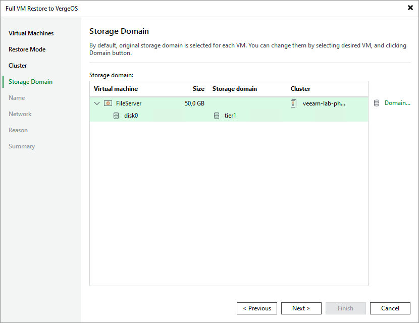 Step 5. Select Storage Domain