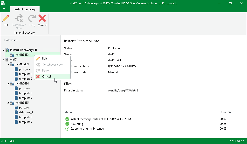 Cancelling Instant Recovery