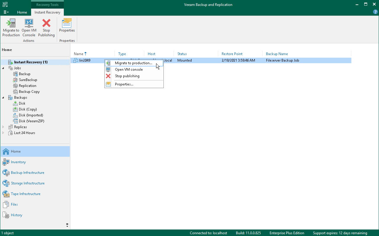 Step 9. Finalize Instant VM Disk Recovery