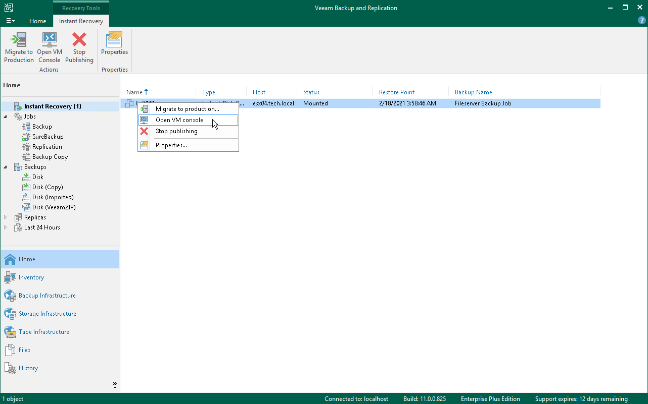 Step 9. Finalize Instant VM Disk Recovery